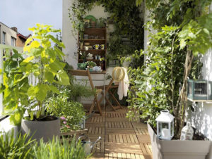 Un véritable jardin miniature sur balcon ; plantes en pot, grimpantes, nichoir ...