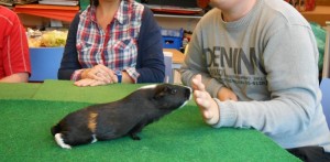 Vue d'un jeune homme dans un établissement médico-social tendant sa main à un hamster, qui vient la renifler.