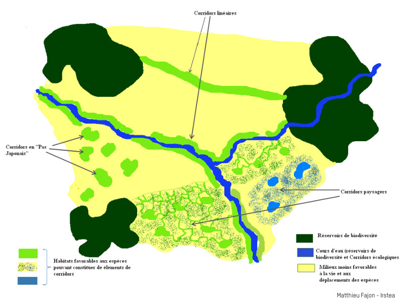 Schéma d'une trame verte et bleue : bois, haies, cours d'eau, mares sont connectés entres eux.