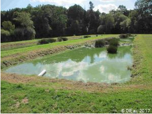 Assainissement écologique par lagunage, deux bassins successifs avec quelques plantes aquatiques