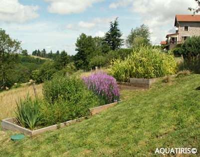 Assainissement écologique pour particulier : vue de bassins avec plantes aquatiques fleuris disposés en pente devant une maison