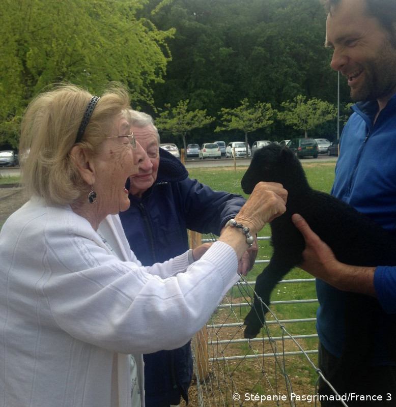 Médiation animale : des résidents d'un EHPAD à Carquefou (Loire-Atlantique) viennent caresser un agneau d'Ouessant. La personne en charge de l'écopâturage tient l'agneau dans ses mains.