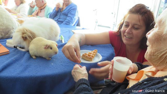 Séance de médiation animale à l'EHPAD de Paimbœuf en Loire-Atlantique. Une animatrice accompagne une résidente pour nourrir un hamster