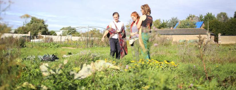 Terres agricoles louées par la mairie de Rennes, 3 personnes dans un jardin. Arrière plan : serres maraîchères et bâtiments anciens.