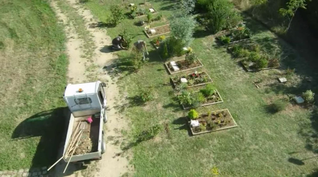 Vue aérienne du cimetière écologique : tombes simplement entourées de planches de bois, plantées de végétaux, pelouse et arbres