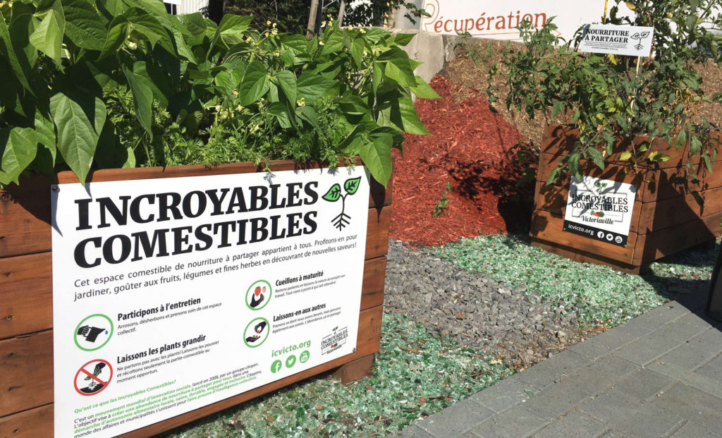 Bacs à jardin en ville, avec légumes, une économie collaborative alimentaire !