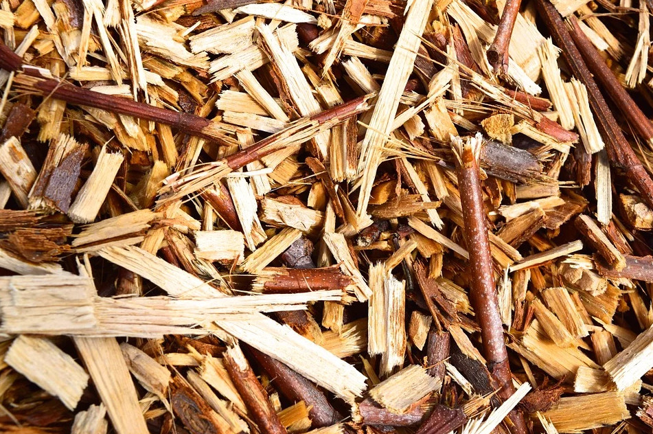 Vue de plaquettes de bois en gros plan