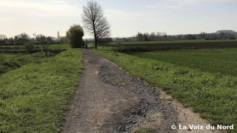 Piste cyclable à travers la campagne, champs de chaque côté, haies à l'arrière-plan. Cette voie verte est abîmée : présence d'ornières creusées par la pluie, révélant les gros cailloux présents sous le stabilisé.