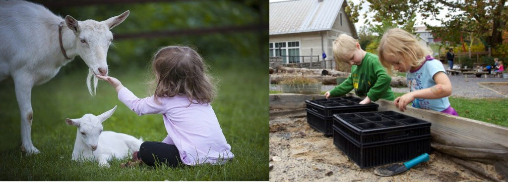 Photo de gauche : ferme pédagogique, fillette (enfant) assise dans l'herbe et tendant sa main à une chèvre, chevreau allongé. À droite : deux enfants remplissent des godets de terreau dans une jardinière en hauteur, dans une cour d'école (jardin pédagogique)