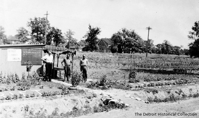 Agriculture urbaine à Détroit (Michigan) au début du XXe﻿ siècle. Carte postale ancienne en noir et blanc. Jardiniers devant une cabane de jardin, entourée de parcelles de légumes