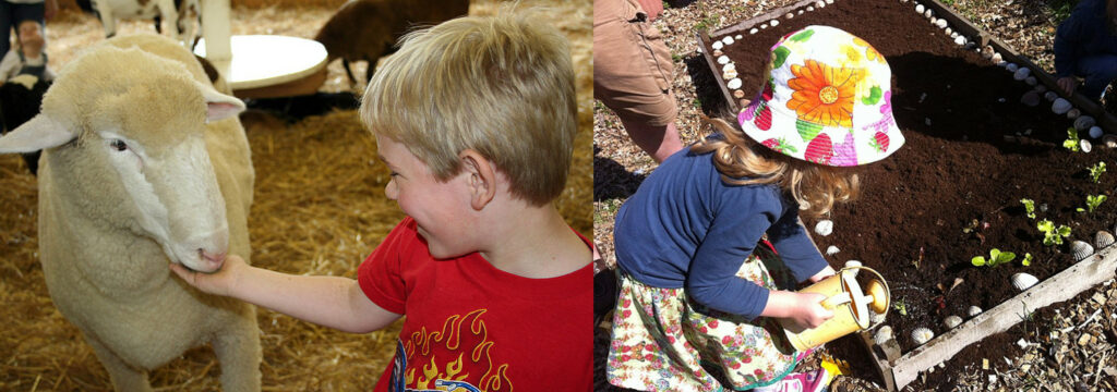 Photo de gauche : enfant souriant caressant un mouton, mouton de couleur beige clair. Photo de droite : petite fille avec un chapeau coloré arrosant un petit parterre